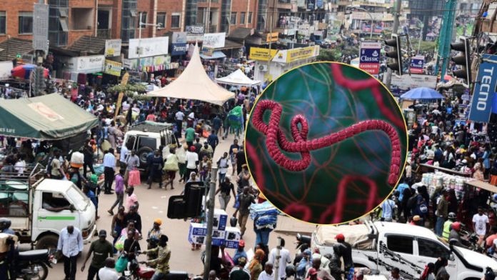 Ebola_Virus